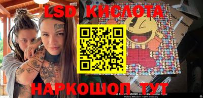 прущие грибы Краснознаменск