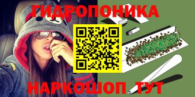 прущие грибы Краснознаменск