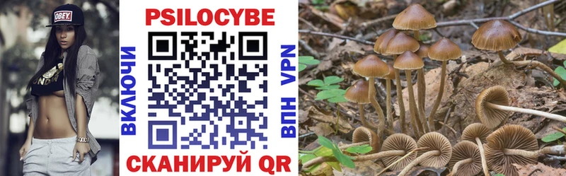 закладки  Копейск  KRAKEN вход  Галлюциногенные грибы MAGIC MUSHROOMS 