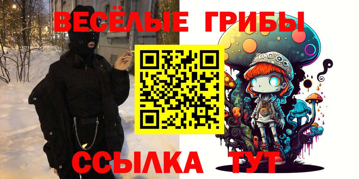 Копейск  как найти закладки  Псилоцибиновые грибы GOLDEN TEACHER  Вход с VPN  Галлюциногенные грибы Psilocybe 