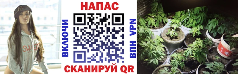 Марихуана THC 21% блэк спрут зеркало Копейск